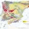 Geological map of Spain, scale 1:2.000.000 (year 2004)