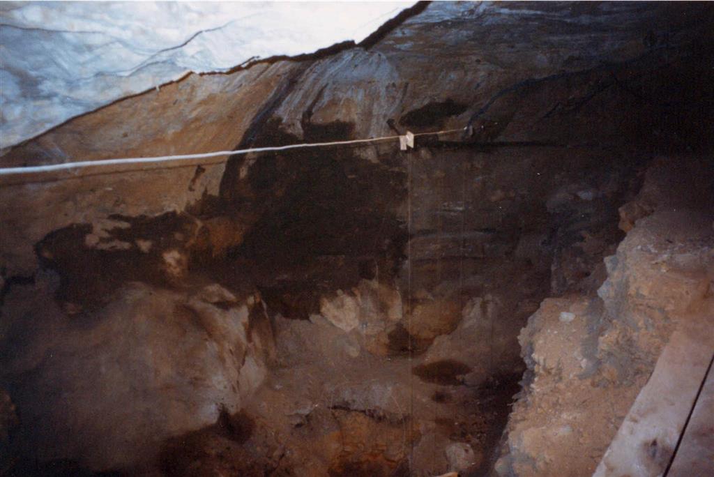 Aspecto en el año 1998 de la Sala de la Mina de la Cueva de Nerja, en la zona donde se realizaron las excavaciones (foto Jesús F. Jordá Pardo)