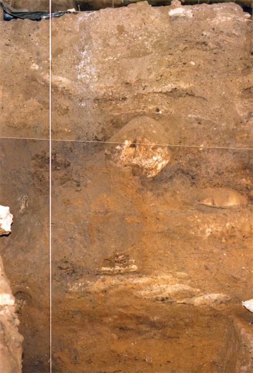 Imagen parcial de la sección estratigráfica de la Sala del Vestíbulo de la Cueva de Nerja, niveles NV 13 a NV 4 (foto Jesús F. Jordá Pardo)