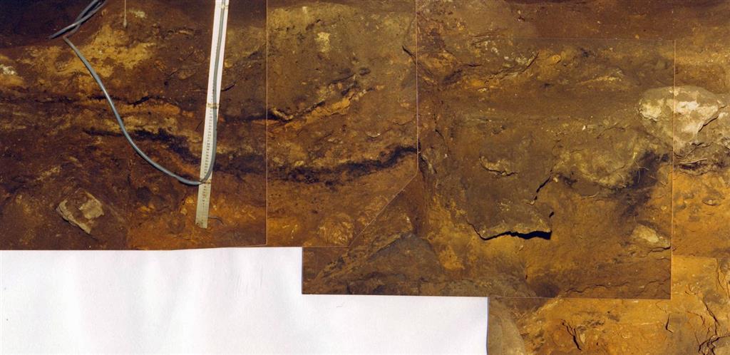 Imagen parcial del tramo basal de la sección estratigráfica de la Sala de la Mina de la Cueva de Nerja, niveles NM 19 a NM 16 (foto Jesús F. Jordá Pardo)