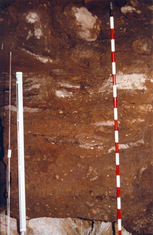 Imagen parcial del tramo superior de la sección estratigráfica de la Sala de la Mina de la Cueva de Nerja, niveles NM 12 a NM 1 (foto Jesús F. Jordá Pardo)