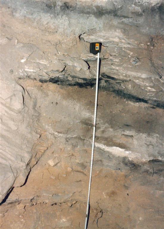 Detalle de los niveles NM 17, NM 16 y NM 15 del tramo basal de la sección estratigráfica de la Sala de la Mina de la Cueva de Nerja. Destaca el NM 15 formado por plaquetas autóctonas producidas por crioclasticismo (foto Jesús F. Jordá Pardo)
