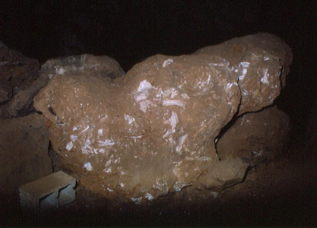 Cueva Victoria. Brecha fosilífera (foto Bienvenido Martínez-Navarro)