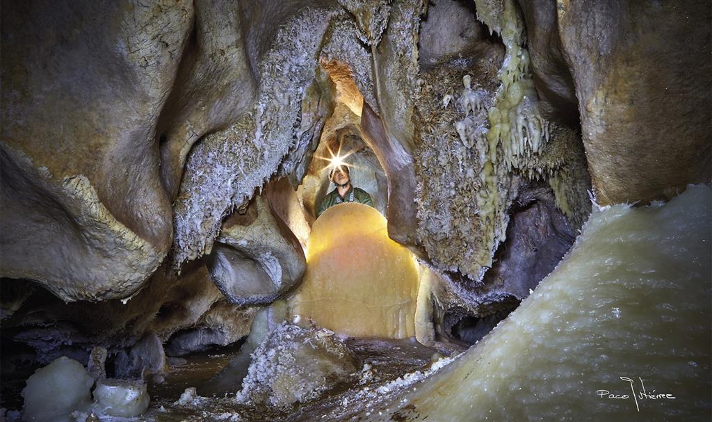 Una de las estegamitas del interior de la cueva  