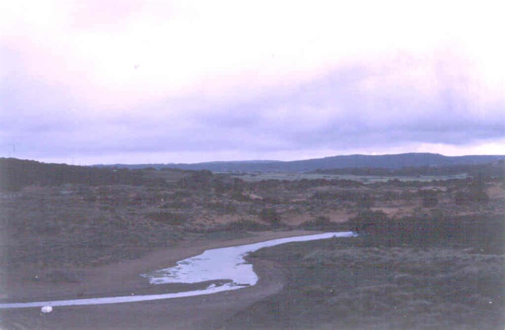 Curso de agua del arroyo Tirant, que debido al cierre por el cordón dunar de su desembocadura, encharca la zona.