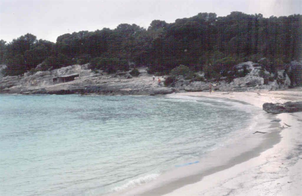 Aspecto de la playa de Cala en Turqueta. Al fondo calizas recifales buzando 20-30º hacia el mar.