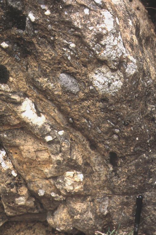 Detalle de la brecha con matriz arenosa y carbonatada y fragmentos de caliza de la Formación Láncara en la base del manto del Esla en Verdiago.