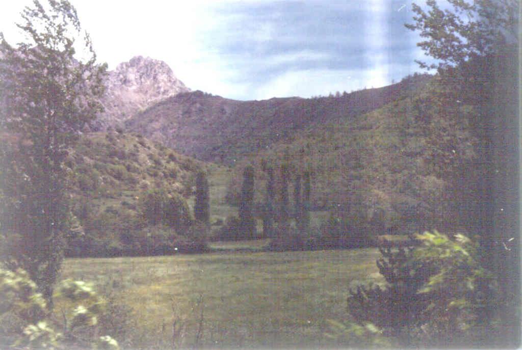 Manto de Esla al Norte de Crémenes. A la izquierda Caliza de Montaña autóctona. En el centro Cámbrico y Ordovícico cabalgantes (fotografía tomada en 1981).