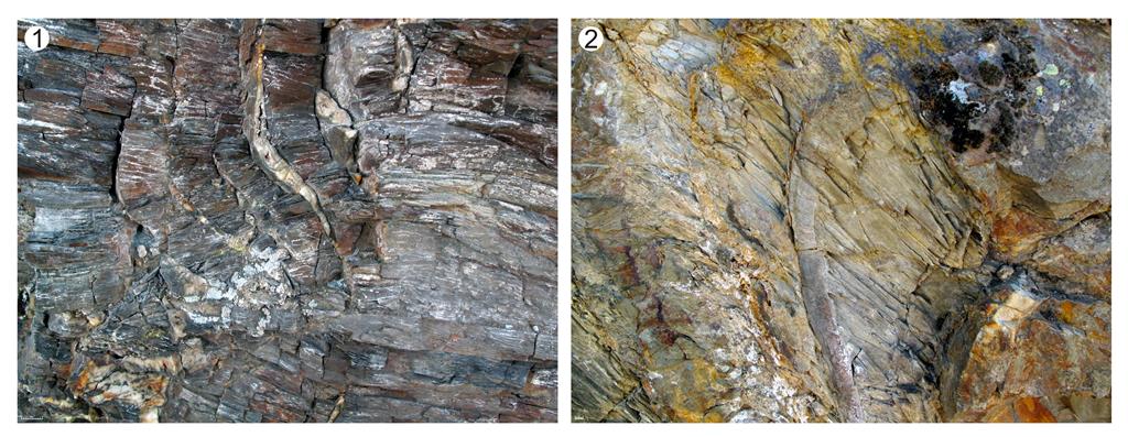 Pequeños pliegues y desarrollo de esquistosidad en las pizarras neoproterozoicas de la Formación Mora, en un afloramiento adyacente a la carretera C-623.