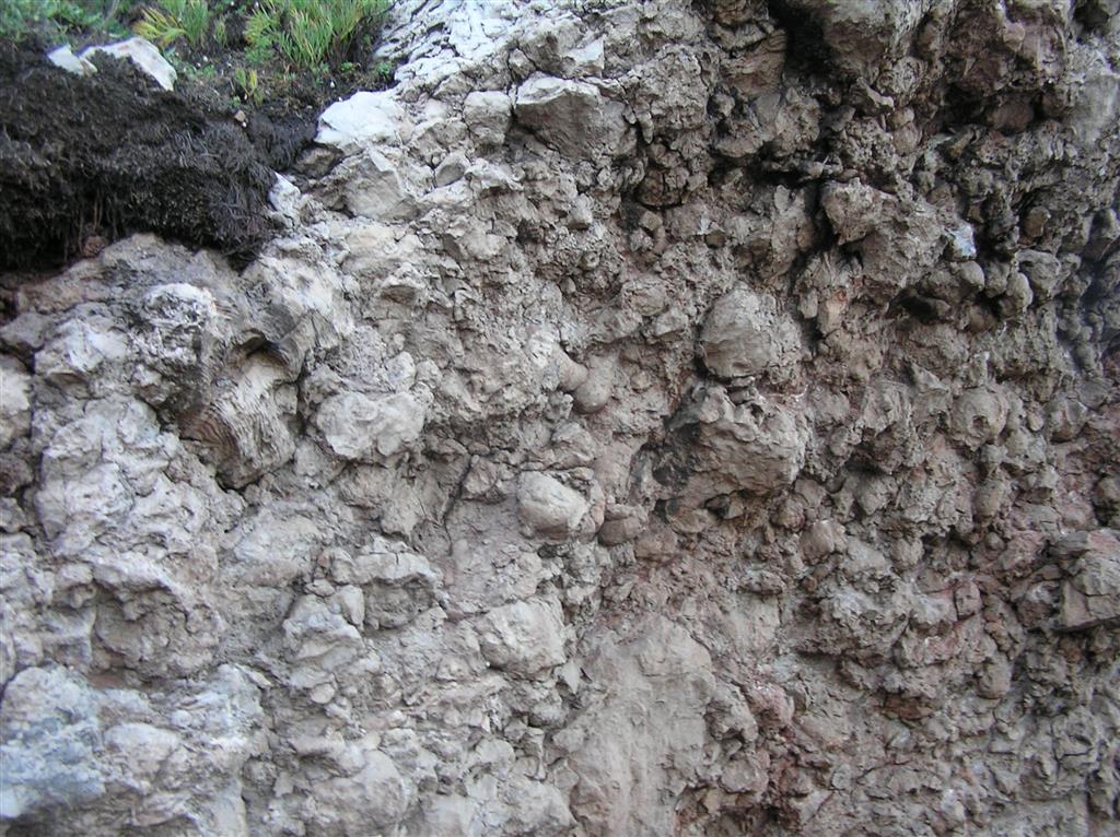 Niveles basales del estadio de colonización, consistente en calizas masivas grises formadas, principalmente, por un framestone de estromatoporoideos hemisféricos, de tamaños pequeño y medio, que actúan como colonizadores principales. En menor cantidad se encuentran corales tabulados y rugosos.