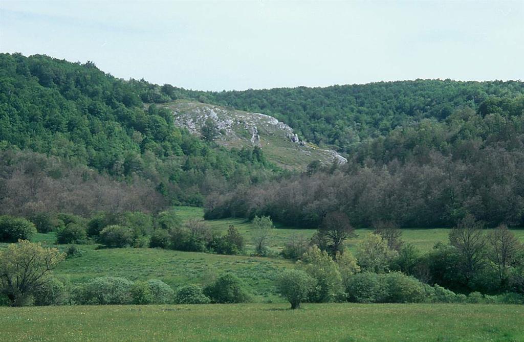 Olistolito o megabloque calcáreo del DTM de Brañosera (DTM de Herreruela, Kasimoviense inferior), en el sinclinal de Castillería, Valle de Castillería, cerca de Vañes, Palencia