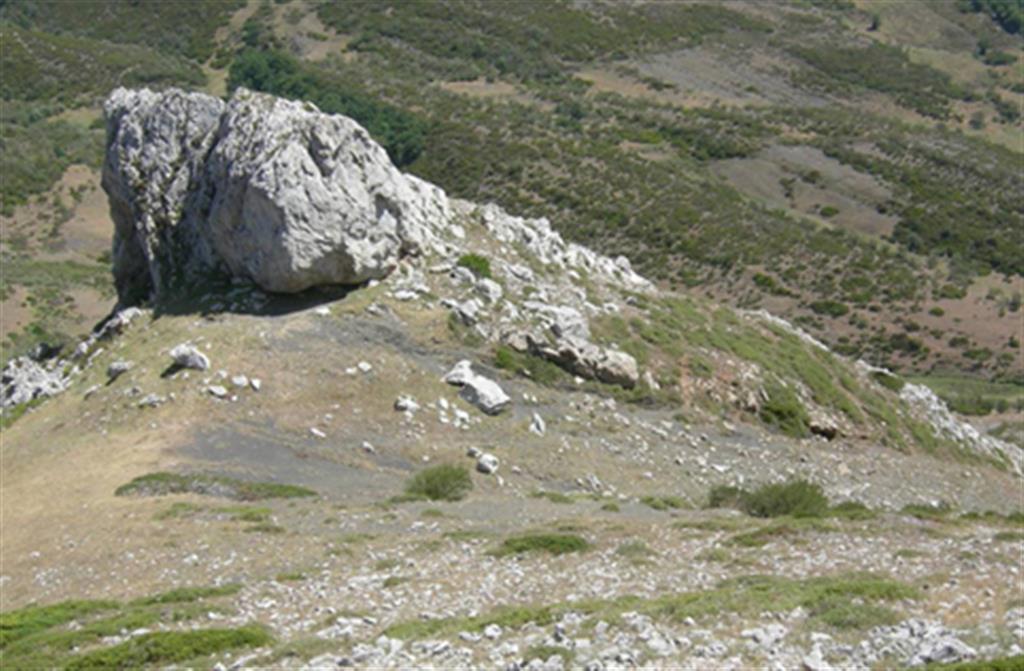 Megabloque calcáreo englobado en lutitas oscuras perteneciente al DTM de Abismo-Tejedo (proximidades de Peña del Abismo, NE del sinclinal de Redondo). 