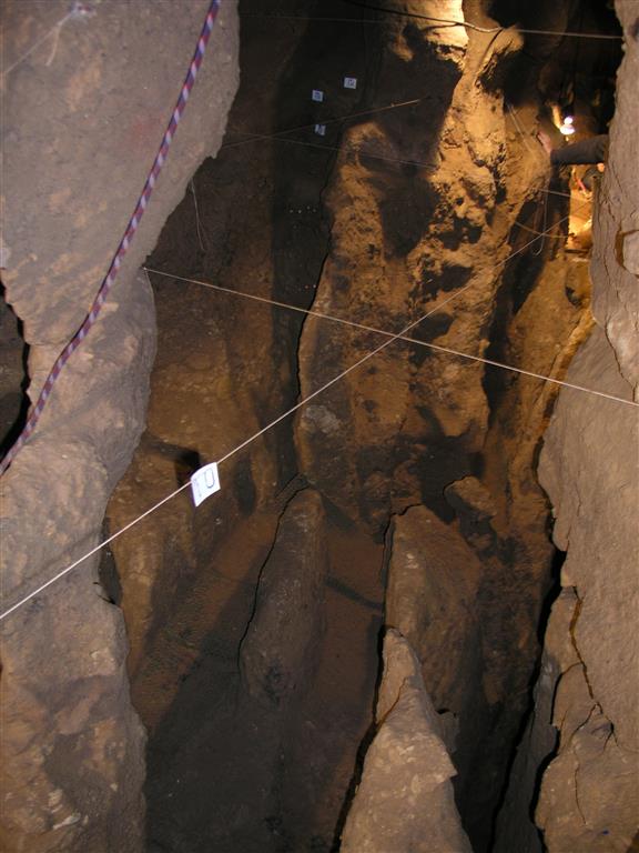 Galería del Osario, con la cuadrícula instalada, una vez excavados y retirados los sedimentos (11/09/2012)