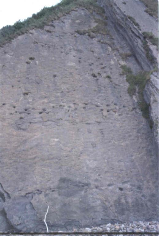 Rastros de pisadas de dinosaurios, en la sección de la Formación Tereñes del Oeste de la playa de Ribadesella.