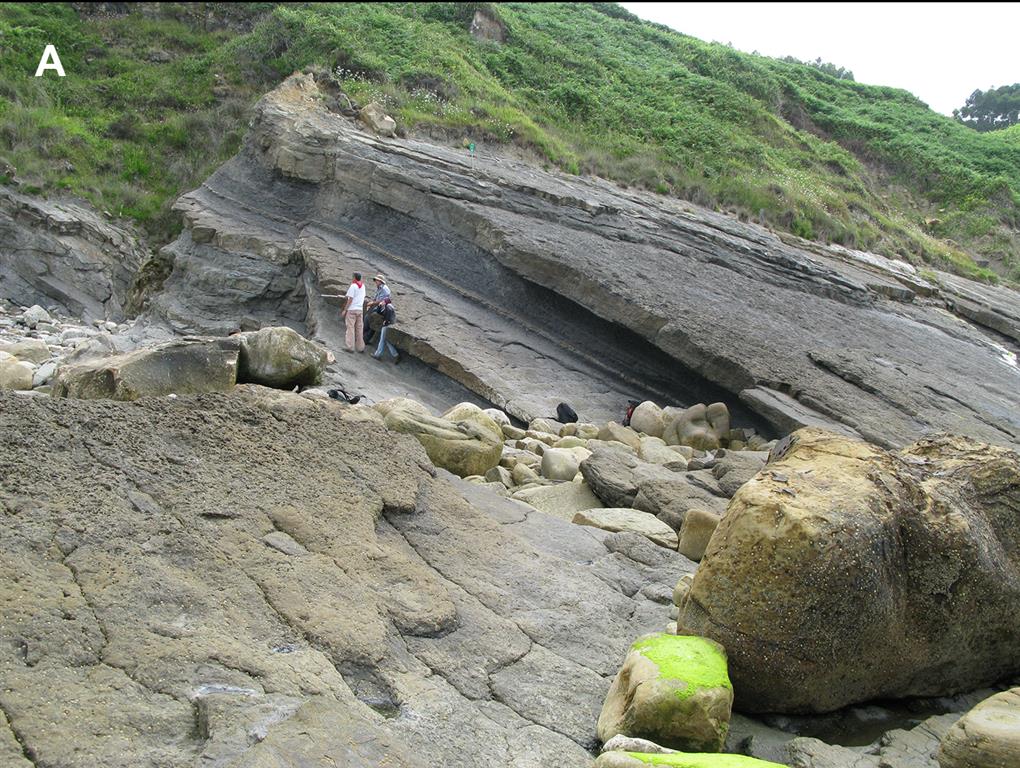 Acantilado donde se localiza el yacimiento con huellas de dinosaurios del faro de Tazones. Formación Lastres.