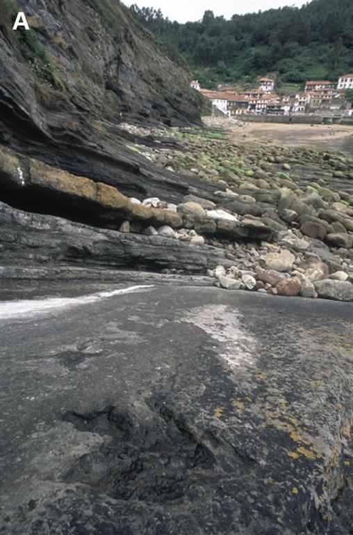 Huella tridáctila de terópodo conservada en la superficie de una capa de arenisca de la parte baja de la Formación Tereñes. Acantilados al E del puerto de Tazones.