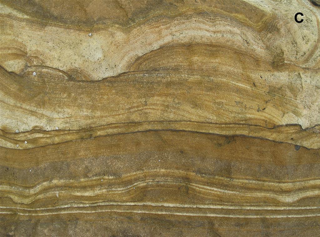 Estructuras de alteración (bandas y anillos de Liesegang) en las areniscas de la Formación Lastres