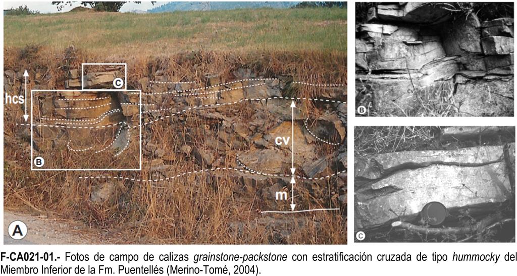 Fotos de campo de calizas grainstone-packstone con estratificación cruzada de tipo hummocky del Miembro Inferior de la Fm. Puentellés (Merino-Tomé, 2004). 