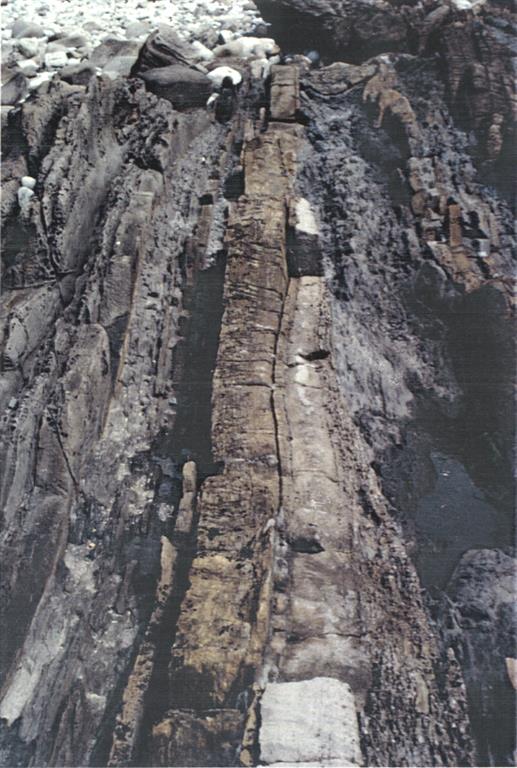 Depósitos de relleno de canal por brechas calcáreas y calclititas en un apron carbonatado (tercio inferior del Flysch de Pendueles; según Coello-Monroy, 1996).