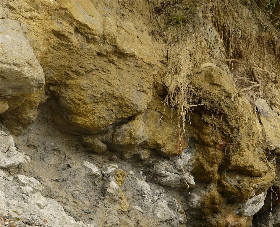 Detalle del molde de una huella de pisada de dinosaurio. Este ejemplar se encuentra a mano izquierda, justo en la zona de acceso a la playa por el camino normal