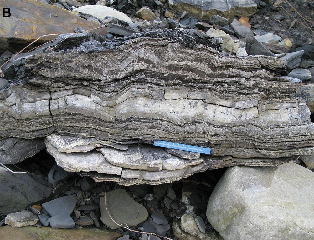 Estructuras microbialíticas asociadas a niveles de yesos en los acantilados del entorno del Cabo Lastres. Fm. Tereñes (Miembro Superior).