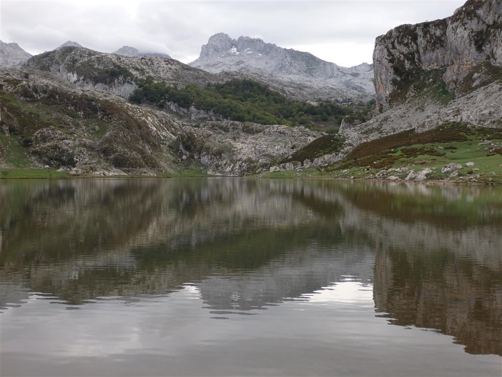 Lago de La Ercina. Año 2014