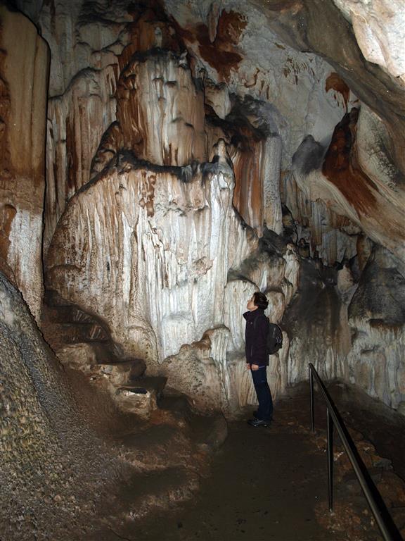 Ejemplo de coladas y masas estalagmíticas en la Cueva de Candamo en la galería de la entrada