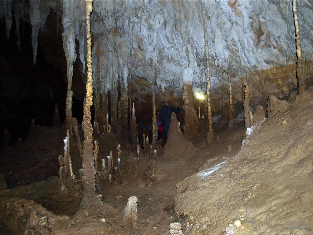 Bosque de estalagmitas y columnas con marcas de paleoinundaciones en la Cueva de Tito Bustillo