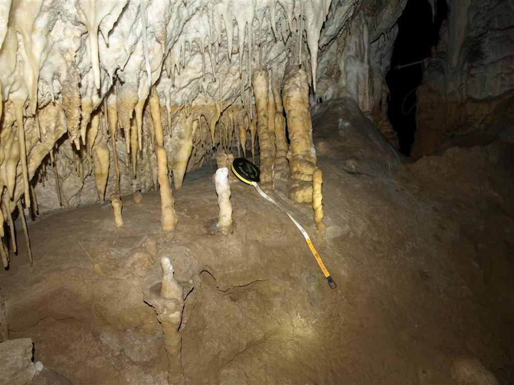 Espeleotemas, depósitos arenosos y marcas de inundación en la Cueva de Tito Bustillo