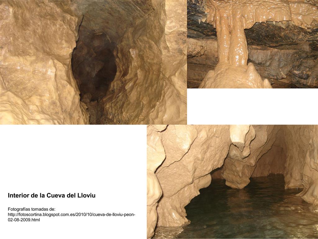 Interior de la cueva. Fotografías tomadas de http://fotoscortina.blogspot.com.es/2010/10/cueva-de-lloviu-peon-02-08-2009.html