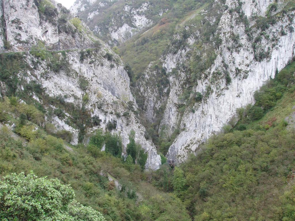 Vista general de la garganta excavada por el Arroyo de Las Xanas en la Caliza de Montaña. Se puede observar también el contacto con los materiales de edad devónica, menos resistentes a la erosión.