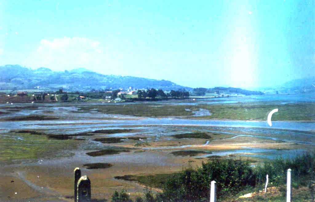 Zona Central del Estuario, tránsito de la sedimentación de fangos a la de arenas (foto tomada en 1980).