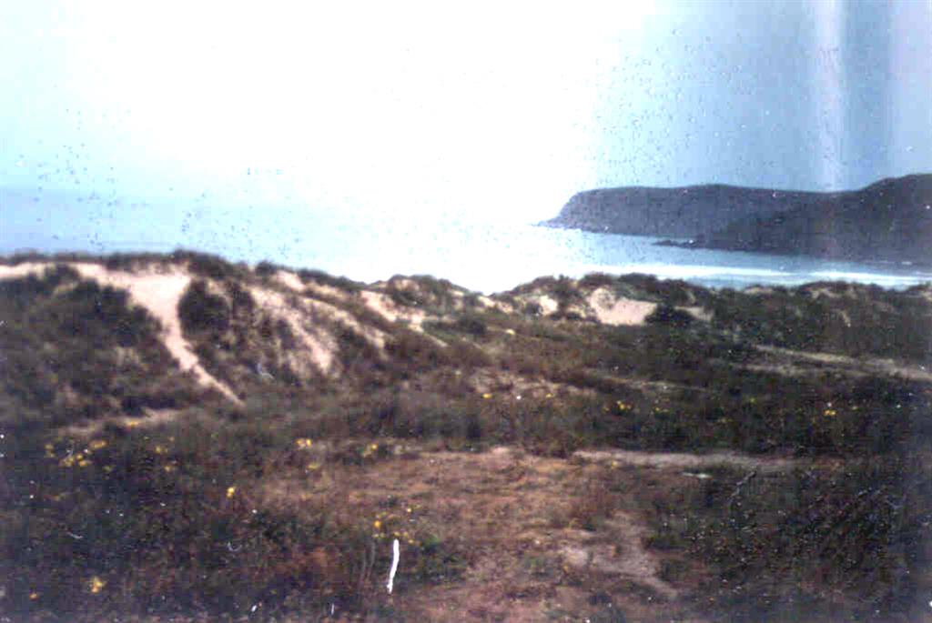 Cordón de dunas. Al fondo superficie de rasas (foto tomada en 1980).
