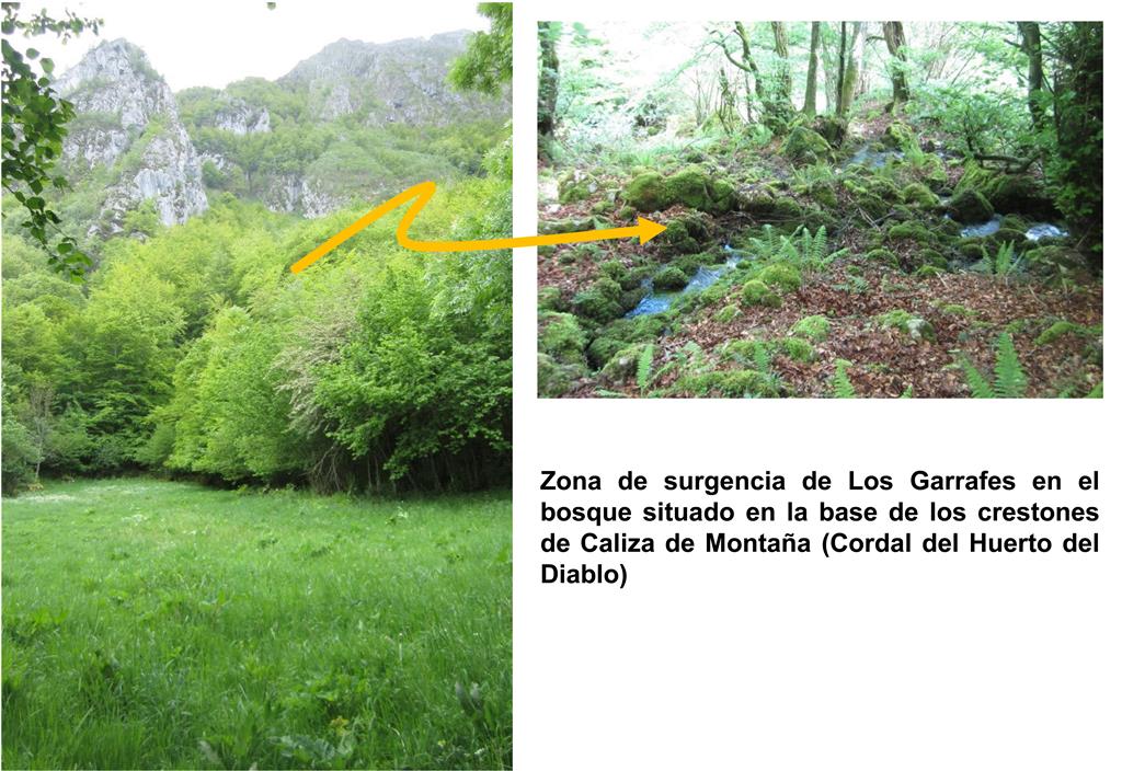 Zona de surgencia de Los Garrafes en el bosque situado en la base de los crestones de Caliza de Montaña (Cordal del Huerto del Diablo)