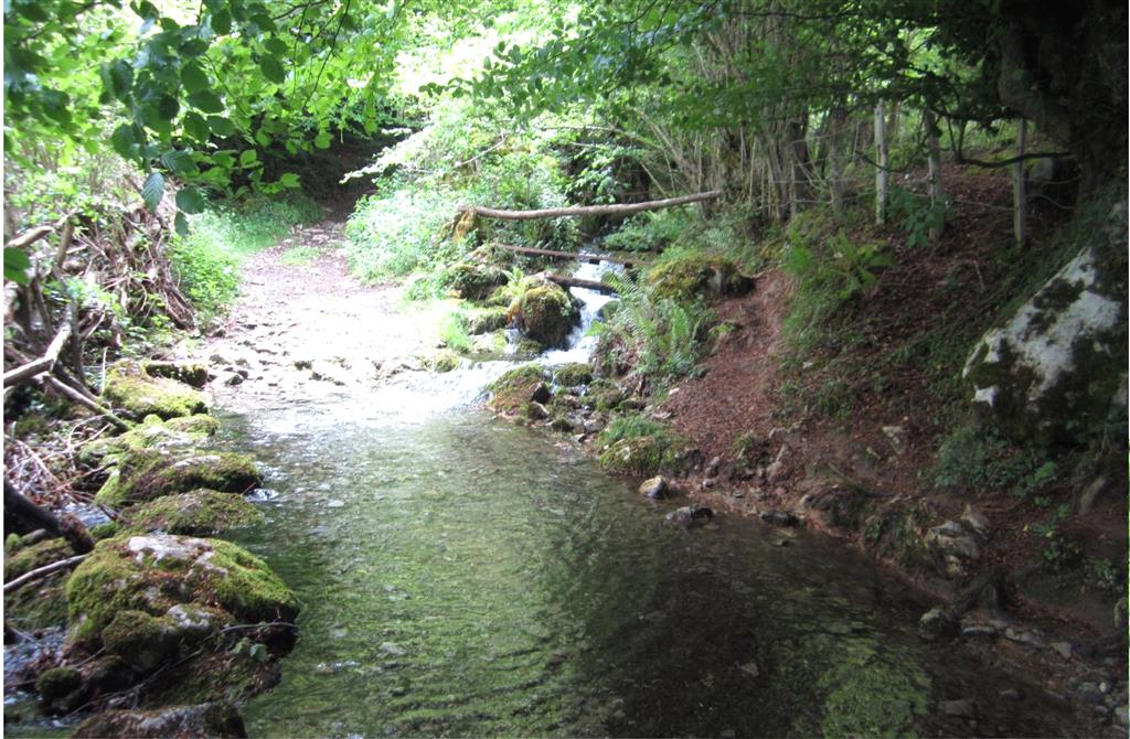 Punto “a” en el camino de Las Infiestas (esquema E-CA059-01), en el que se observa el agua de uno de los arroyos que nacen en Los Garrafes (20 de Mayo de 2014).