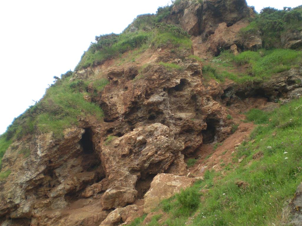 Zona conocida como “La Paredona” (área de Los Cobayos, La Cabaña) en la que es posible apreciar la silicificación, dolomitización y karstificación del encajante, y las diferentes morfologías de la mineralización fluorada