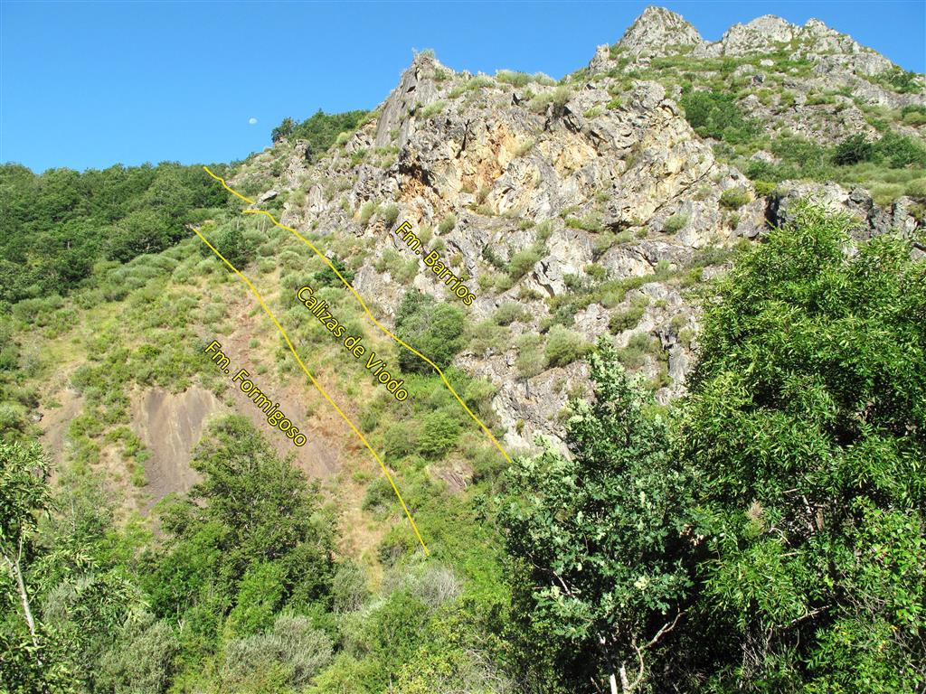 Tránsito Ordovícico-Silúrico en la margen derecha del río Torío a su paso por Felmín. Entre las formaciones Barrios (Cámbrico Superior-Ordovícico inferior) y Formigoso (Silúrico inferior), aflora una unidad poco potente constituida por calizas y calcarenitas muy fosilíferas equiparable a las calizas de Viodo que afloran en el área de Cabo Peñas (Asturias). La edad de estas rocas ha sido precisada como Silúrico basal (Rhuddaniense-Aeroniense) gracias a su contenido en conodontos (Sarmiento et al., 1994).