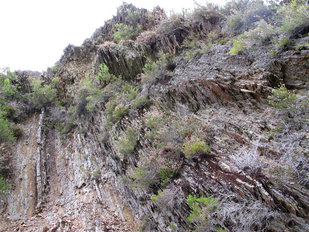 Areniscas oscuras y pizarras en el miembro superior o Villasimpliz (Telychiense-Sheinwoodiense) de la Formación Formigoso, en la margen derecha del río Torío a su paso por la localidad de Felmín.
