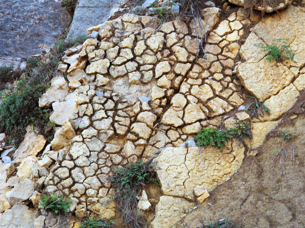 Detalle de un hard ground en una superficie de estratificación de las dolomías de la Formación Felmín.