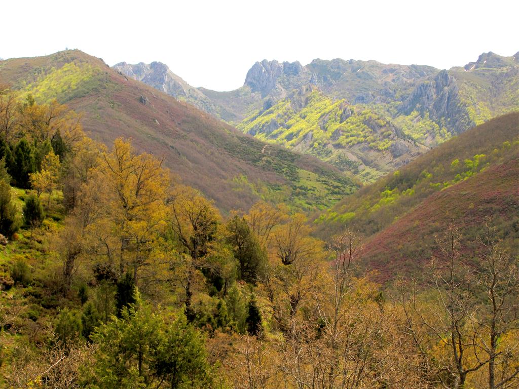 Vista del flanco oriental del Sinclinal del Aguasalio, muy cerca de su contacto con las rocas carboníferas que constituyen el dúplex del pico Jano.