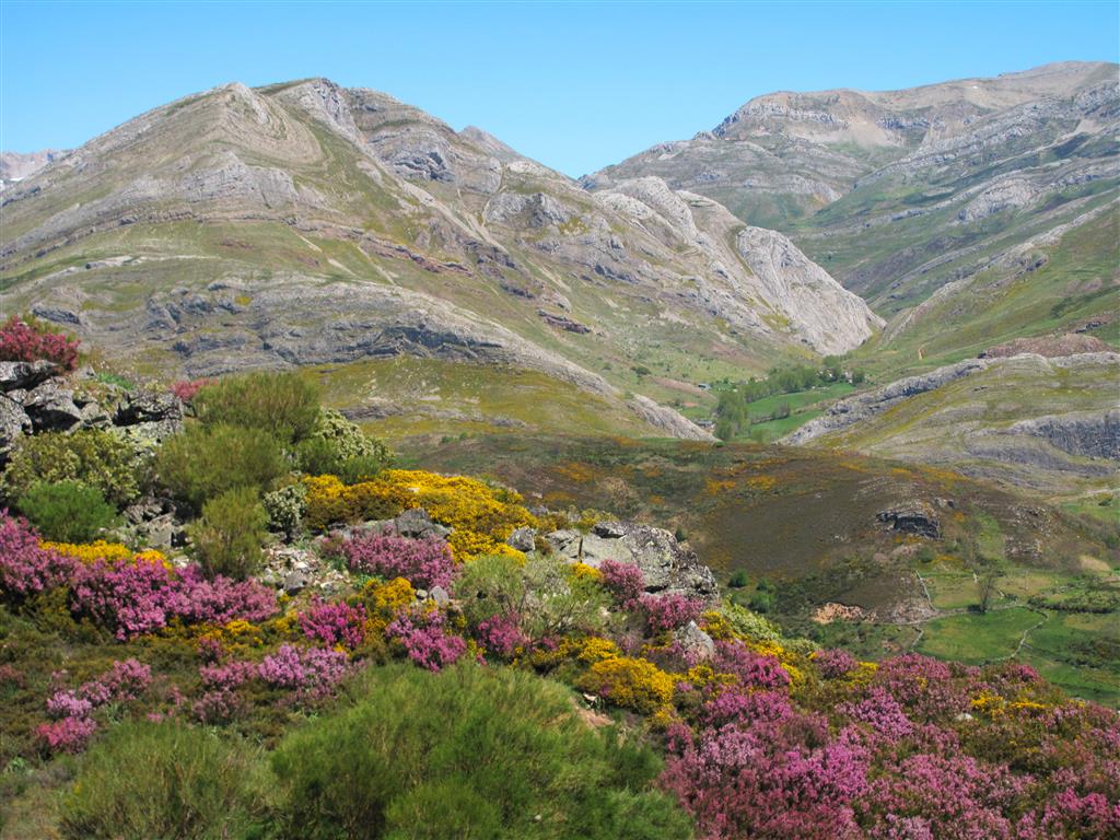 Vista del valle de La Cueta, actual cabecera del río Sil, desde las inmediaciones de Vega de Viejos. La secuencia de pliegues resulta especialmente identificable en la vertiente septentrional del valle, a la izquierda de la imagen.