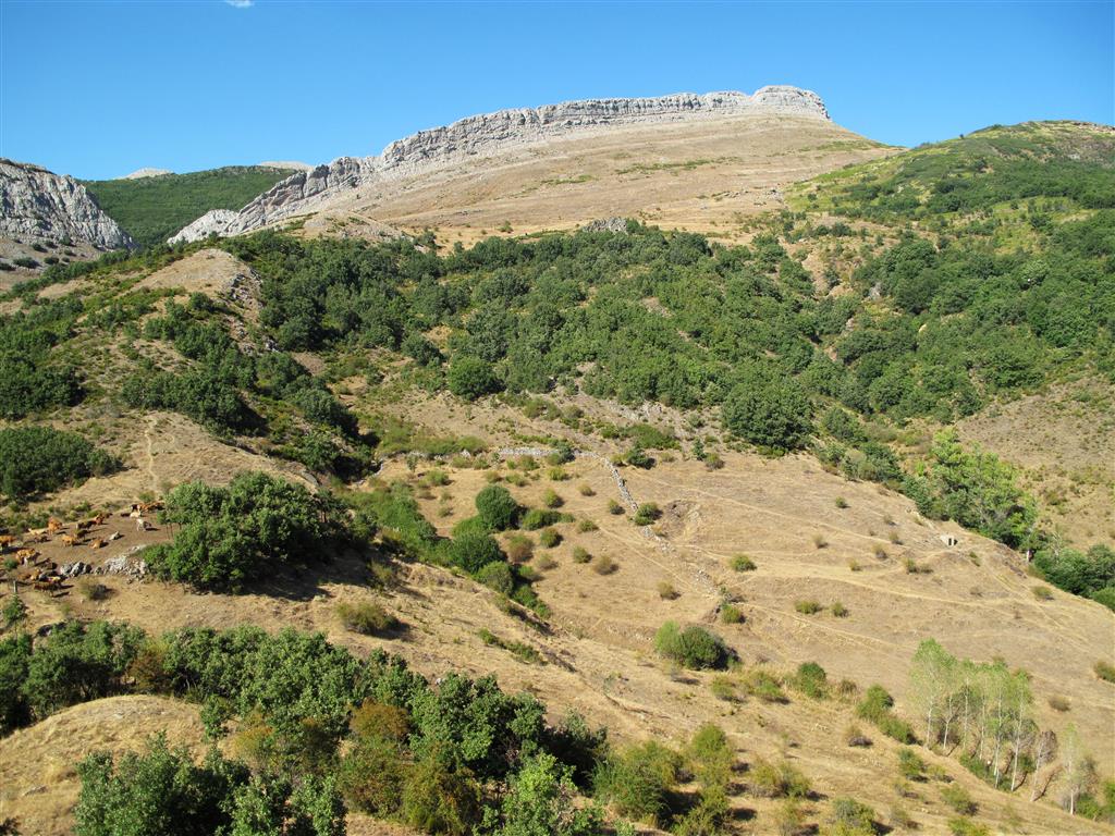 Vista de la vertiente sur de Peña Galicia desde la localidad de Aviados. Se aprecian los materiales del Devónico Inferior que afloran en el núcleo del sinclinal.