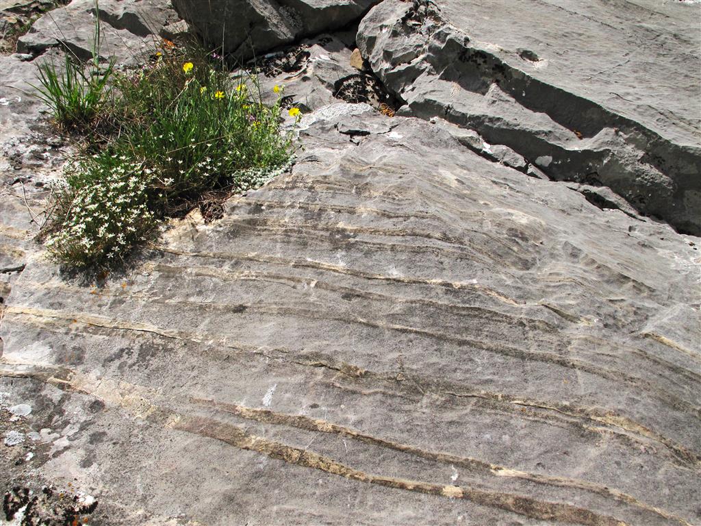 Detalle de las calizas de la Formación Santa Lucía en la base de la unidad. Las capas visibles en la imagen registran depósitos de playa, evidenciados por una llamativa laminación de algas.