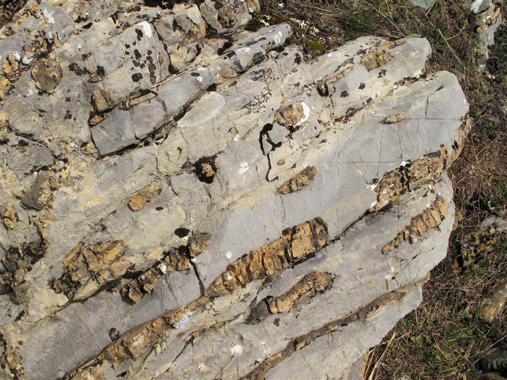 Desarrollo diagenético de sílex en las calizas de la Formación Santa Lucía. Es importante señalar que este sílex fue utilizado como material de origen para la fabricación de objetos líticos durante el Mesolítico.