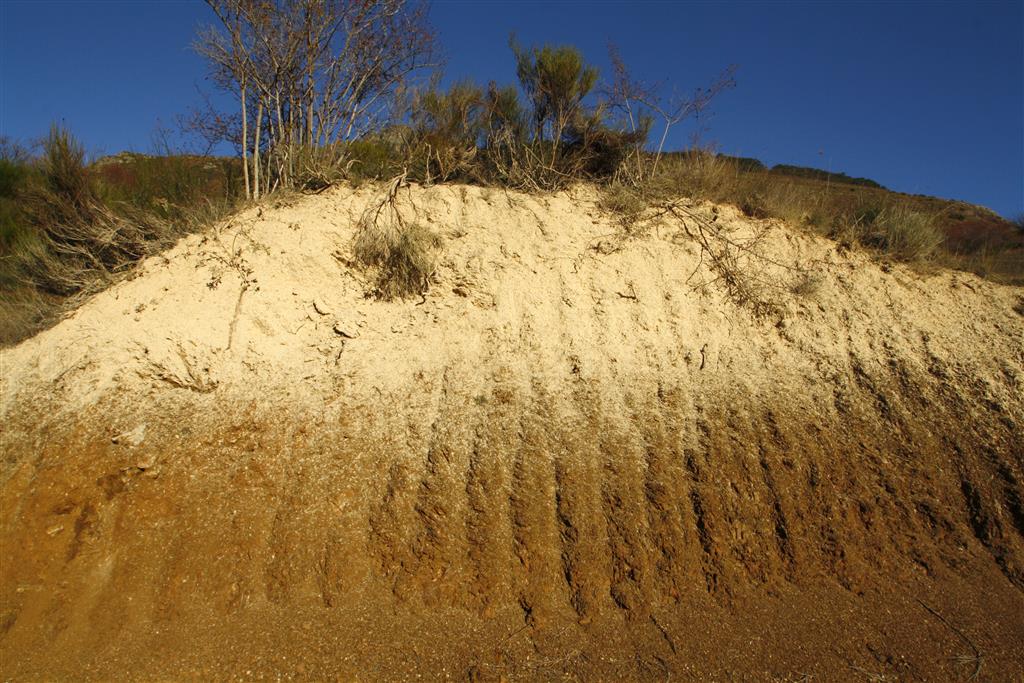 En esta sección, los materiales que forman parte de la Formación Coladilla suelen estar cubiertas por pastizales y matorrales, lo que dificulta su observación.