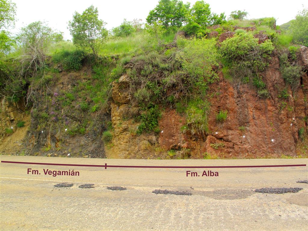 Afloramiento a pie de carretera de las Formaciones Vegamián y Alba, inmediatamente al oeste de la iglesia de Olleros de Alba.