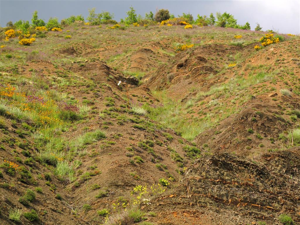 Afloramiento de la Formación Olleros. Los niveles de lutitas han sido intensamente afectados por la erosión, especialmente favorecida por el pisoteo del ganado menudo, por lo que se muestran repletos de cárcavas y canales de arroyada.