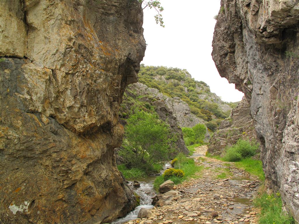 Panorámica del valle del arroyo de San Martín en la mitad superior de la sección descrita en este LIG. El arroyo ha labrado una profunda y vistosa hoz en las calizas de la Formación Barcaliente.