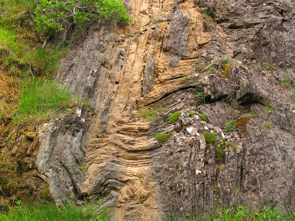 Detalle de los pliegues que afectan a las calizas carboníferas de la Formación Barcaliente.