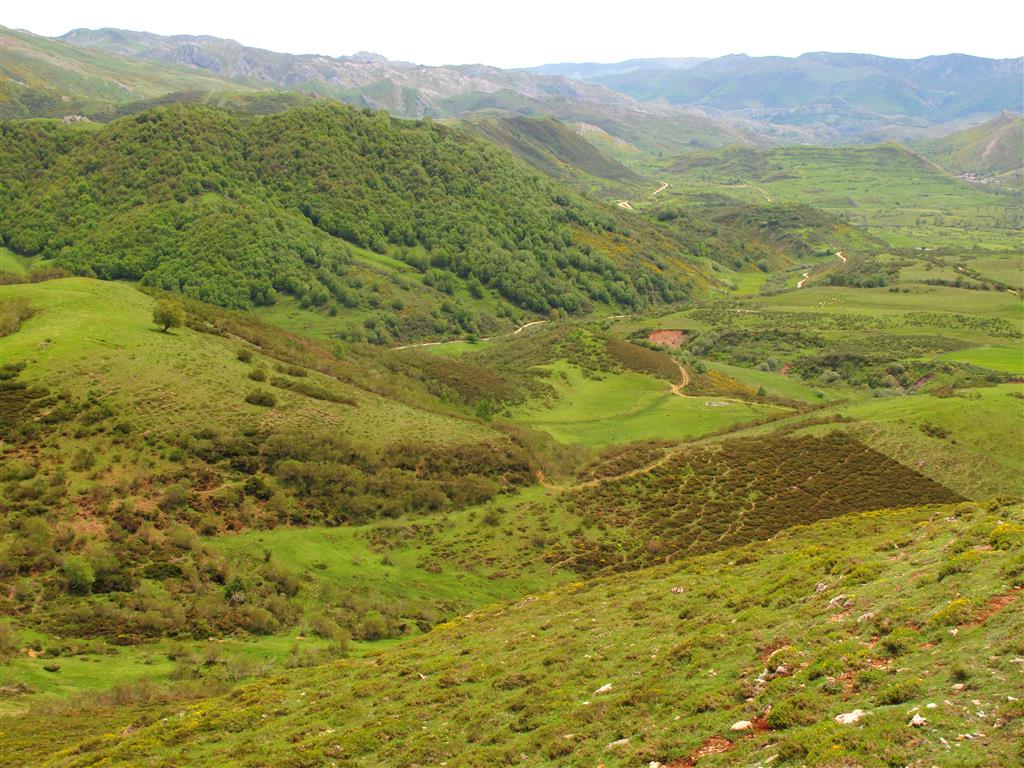 Panorámica del sector septentrional del valle de San Emiliano desde el Puerto de Ventana. Destacan los amplios pastizales desarrollados sobre las litologías terrígenas de la Formación San Emiliano.